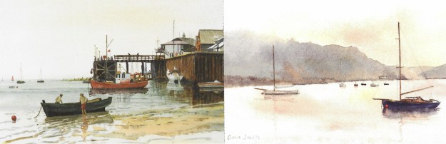 Glyn and Claire Davies